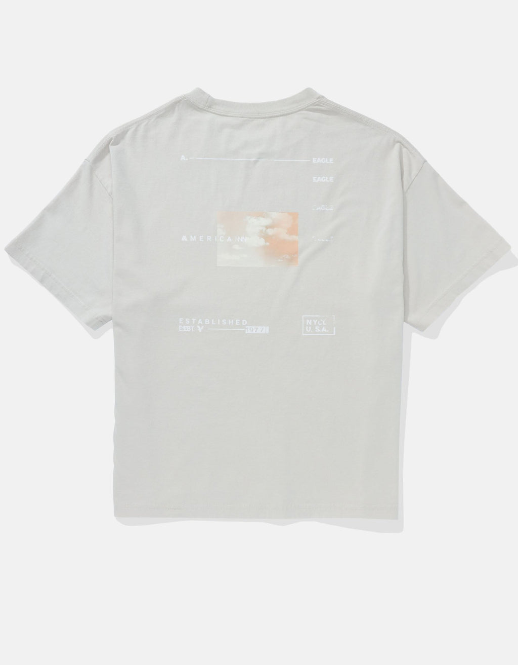 238041.jpg