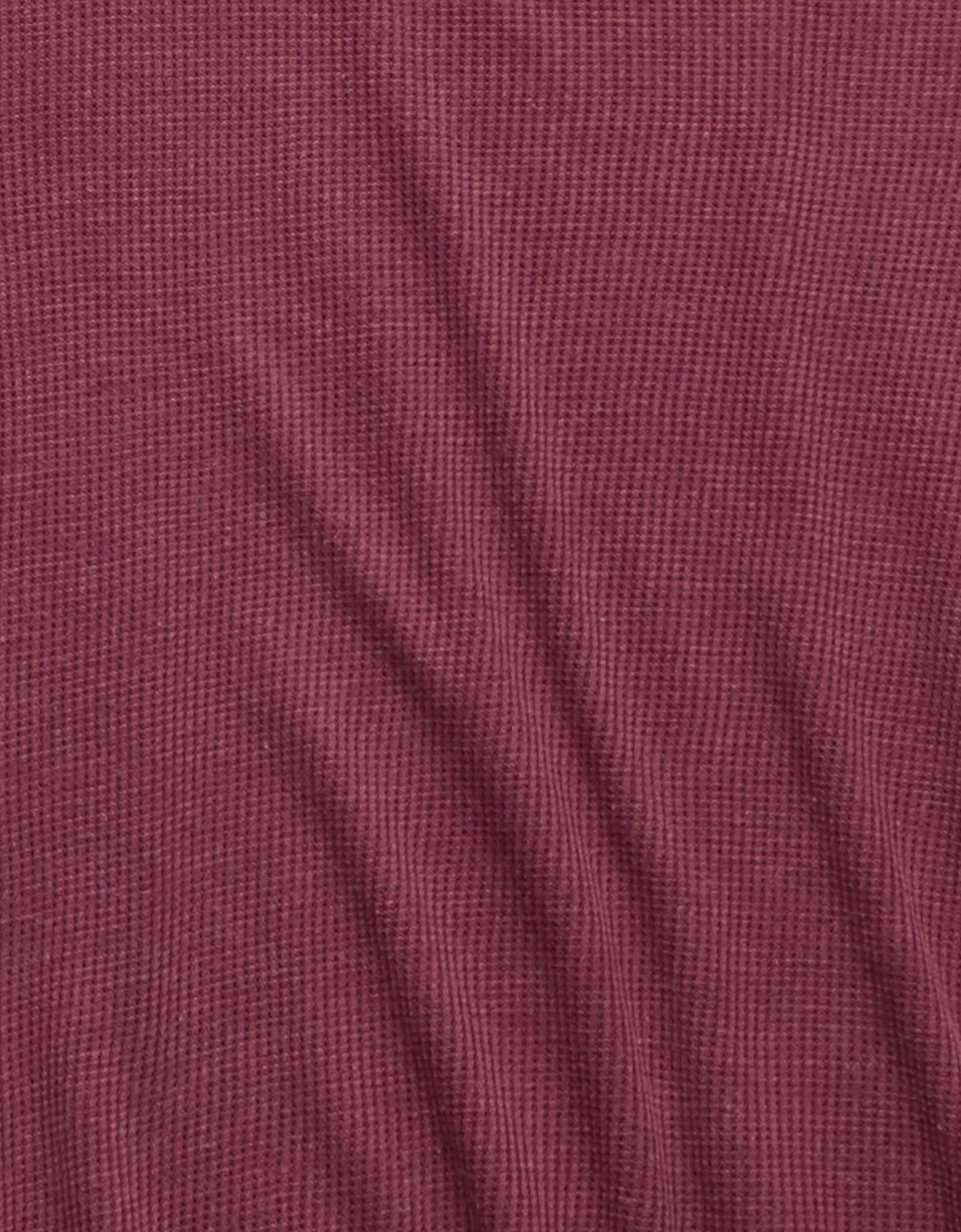 426731.jpg
