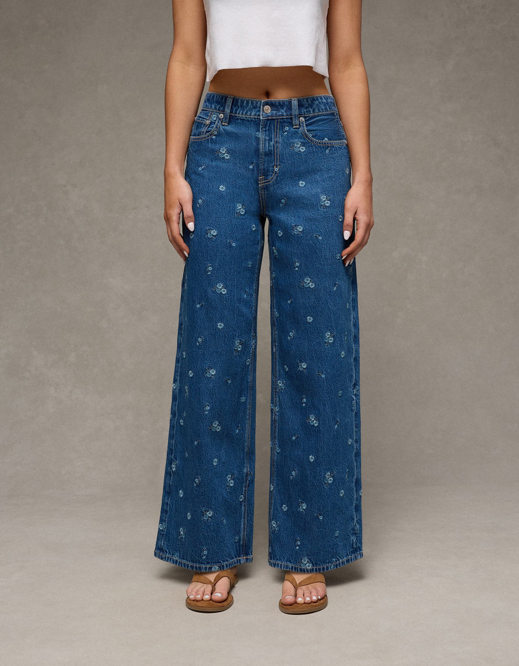 447461.jpg