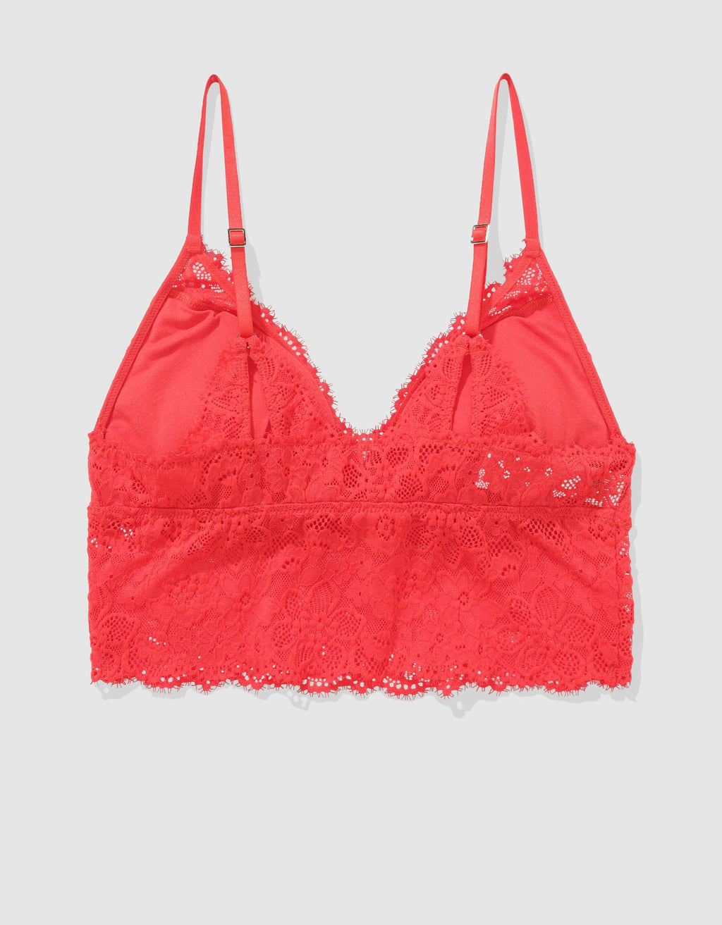 504556.jpg