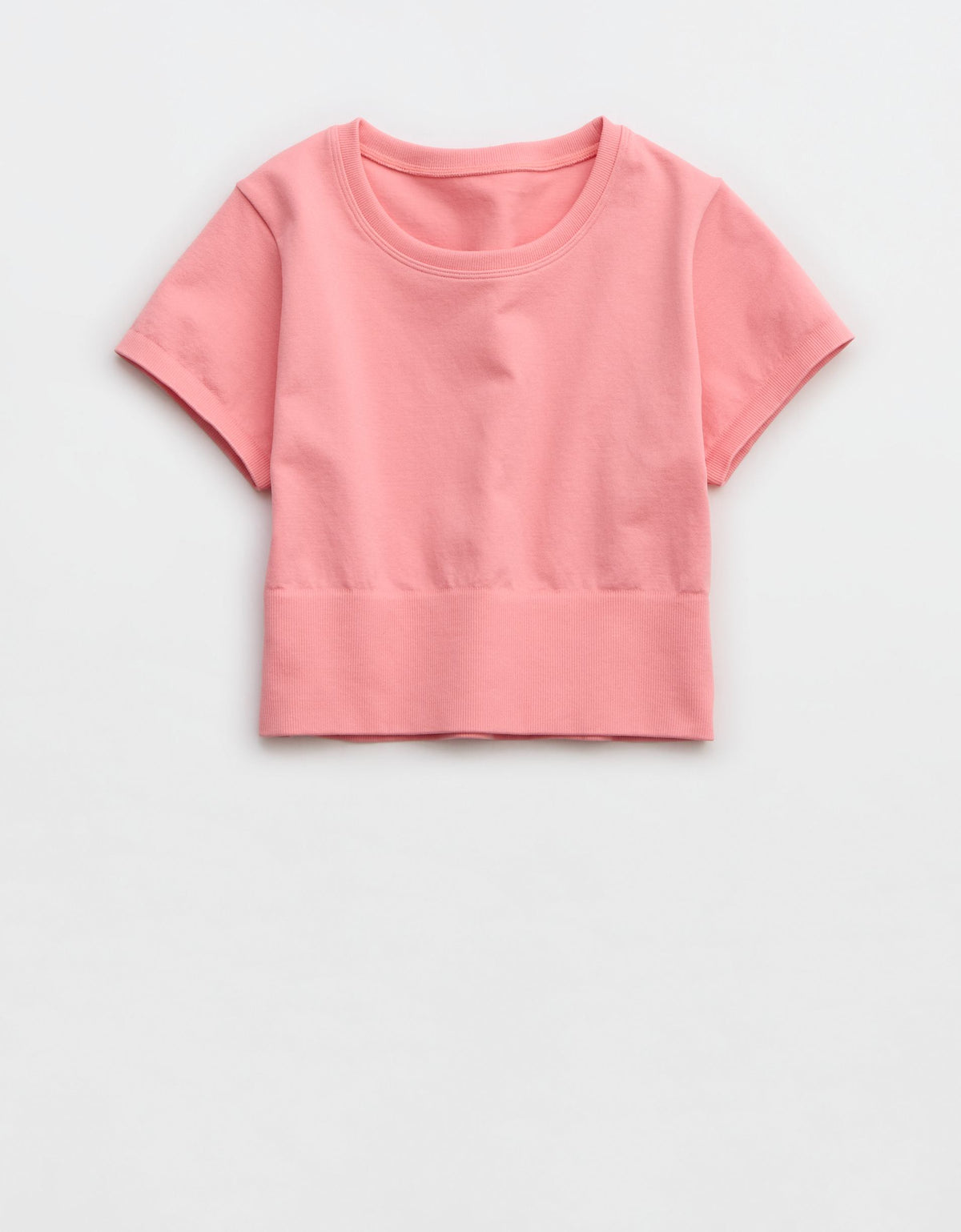 504769.jpg