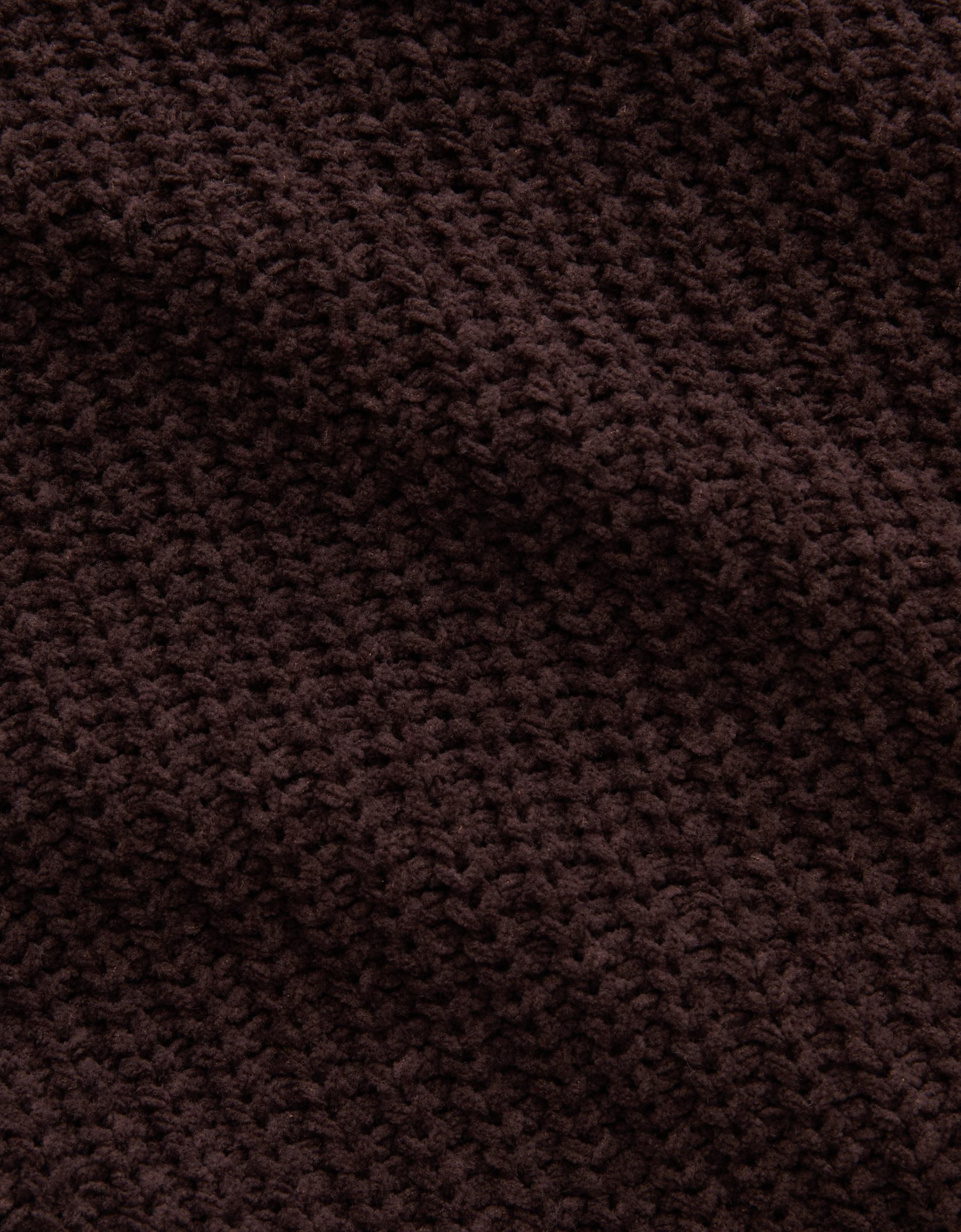 509029.jpg