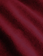 514217.jpg
