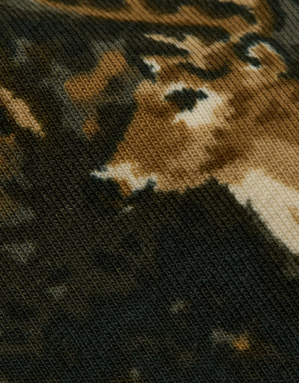 558991.jpg