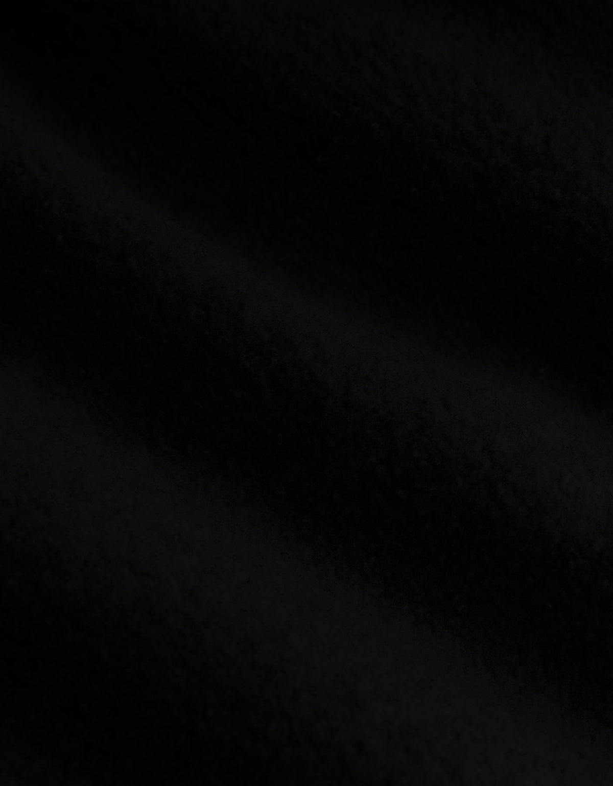 559063.jpg