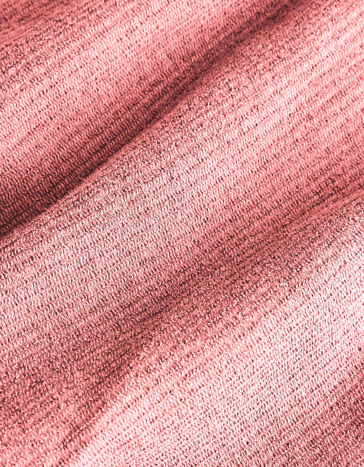 591902.jpg