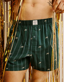 668210.jpg